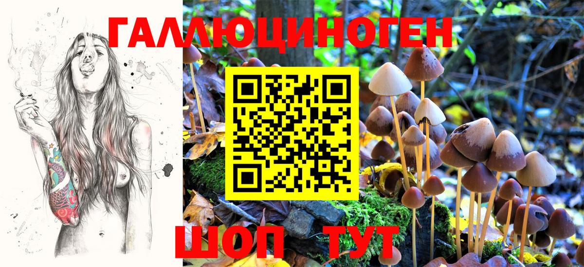 Галлюциногенные грибы прущие грибы Дедовск