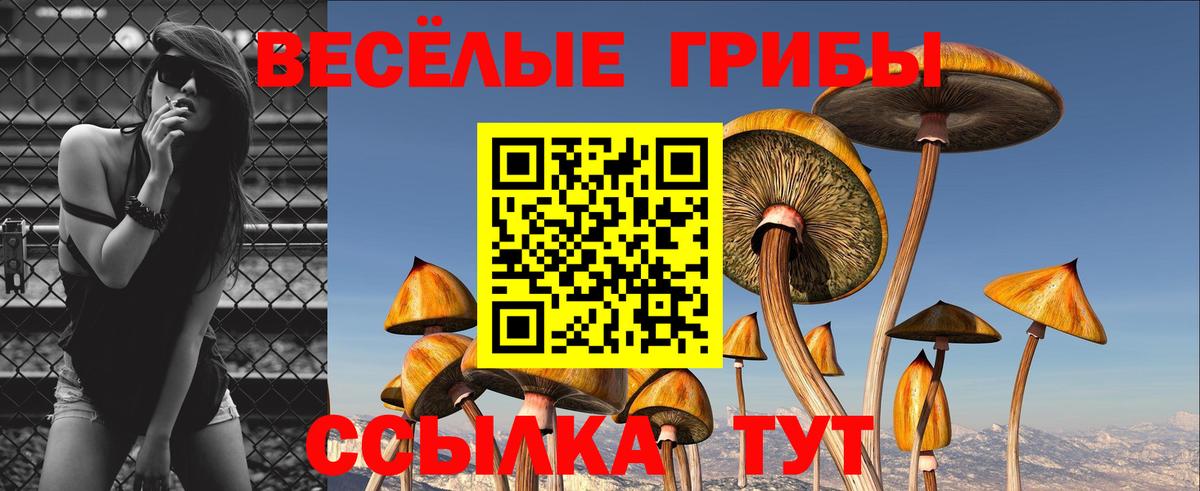 Дедовск  Галлюциногенные грибы Cubensis  хочу наркоту  Вход с VPN 